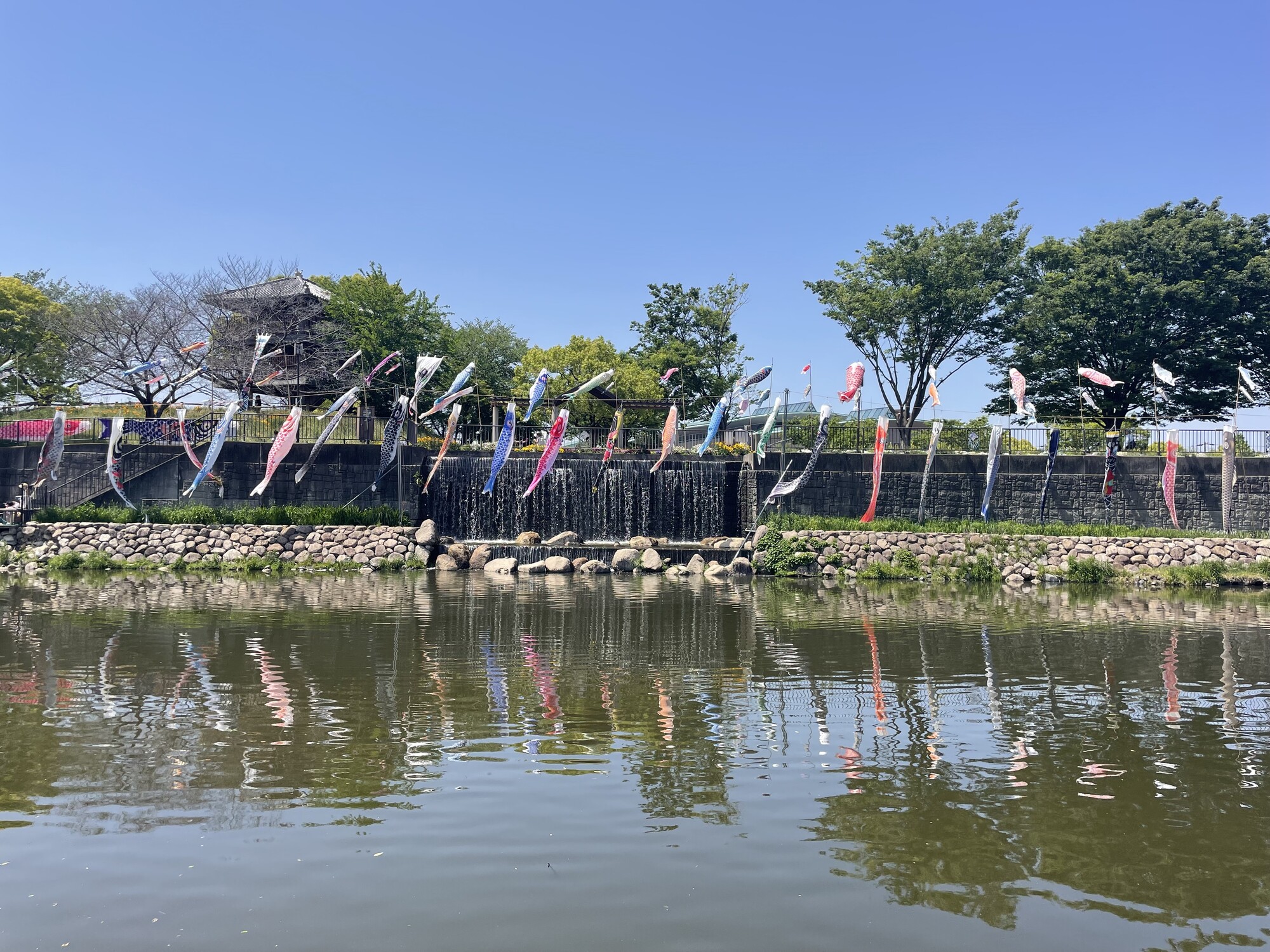 コドモノヒ☆
